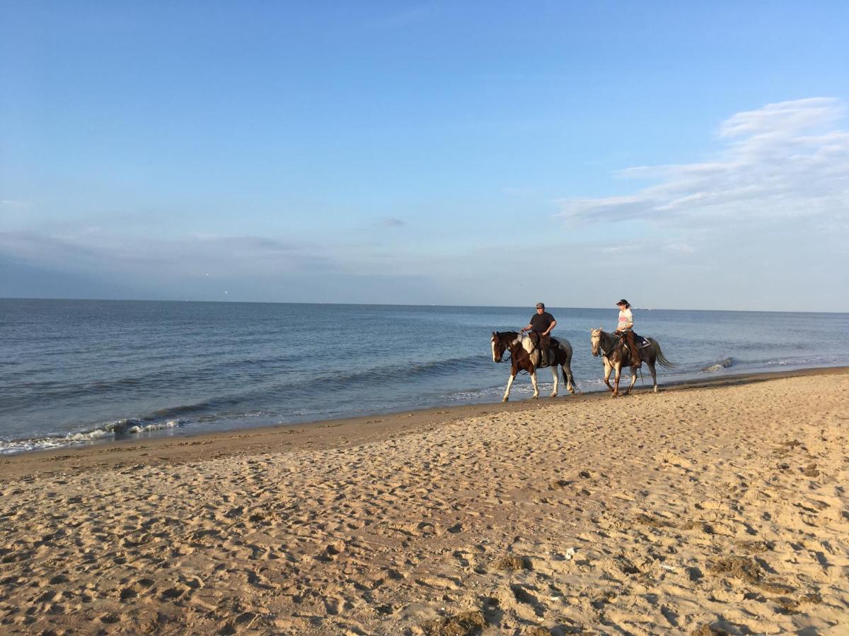 Family Stay 200M From Beach 3 Bedrooms 2 Bathrooms Nice Terrace Ostend Exterior photo